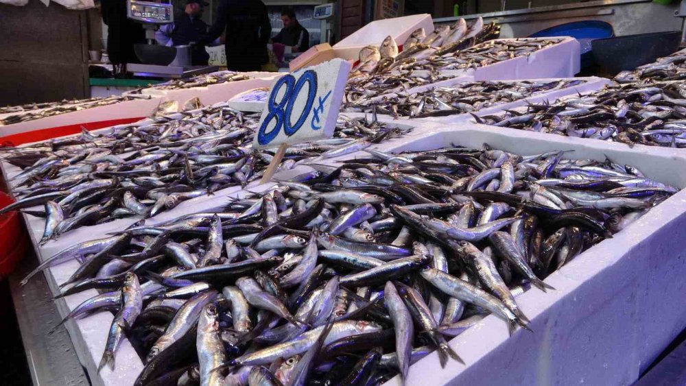 TRABZON BALIK HALİ'NDE DÜN KİLOSU 50 TL'DEN SATILAN HAMSİ BUGÜN İTİBARİYLE FİYATI 60-80 TL ARASINDA DEĞİŞİRKEN, SEZON BAŞINDA PEK GÖRÜNMEYEN PALAMUTTA TEZGÂHLARI SÜSLÜYOR