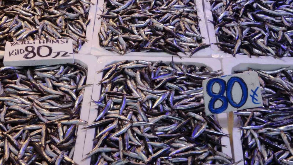 TRABZON BALIK HALİ'NDE DÜN KİLOSU 50 TL'DEN SATILAN HAMSİ BUGÜN İTİBARİYLE FİYATI 60-80 TL ARASINDA DEĞİŞİRKEN, SEZON BAŞINDA PEK GÖRÜNMEYEN PALAMUTTA TEZGÂHLARI SÜSLÜYOR