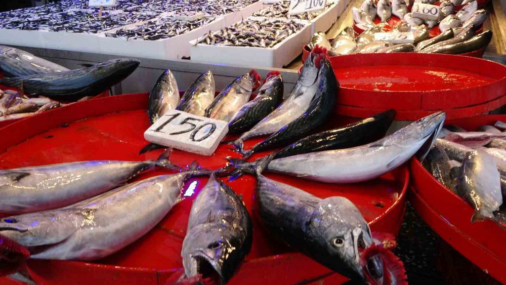 TRABZON BALIK HALİ'NDE DÜN KİLOSU 50 TL'DEN SATILAN HAMSİ BUGÜN İTİBARİYLE FİYATI 60-80 TL ARASINDA DEĞİŞİRKEN, SEZON BAŞINDA PEK GÖRÜNMEYEN PALAMUTTA TEZGÂHLARI SÜSLÜYOR