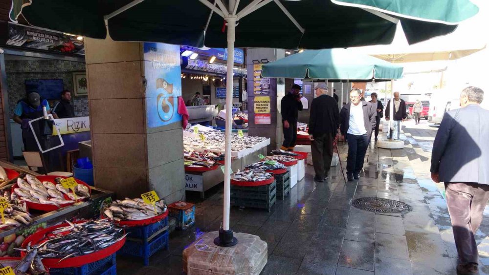 TRABZON BALIK HALİ'NDE DÜN KİLOSU 50 TL'DEN SATILAN HAMSİ BUGÜN İTİBARİYLE FİYATI 60-80 TL ARASINDA DEĞİŞİRKEN, SEZON BAŞINDA PEK GÖRÜNMEYEN PALAMUTTA TEZGÂHLARI SÜSLÜYOR