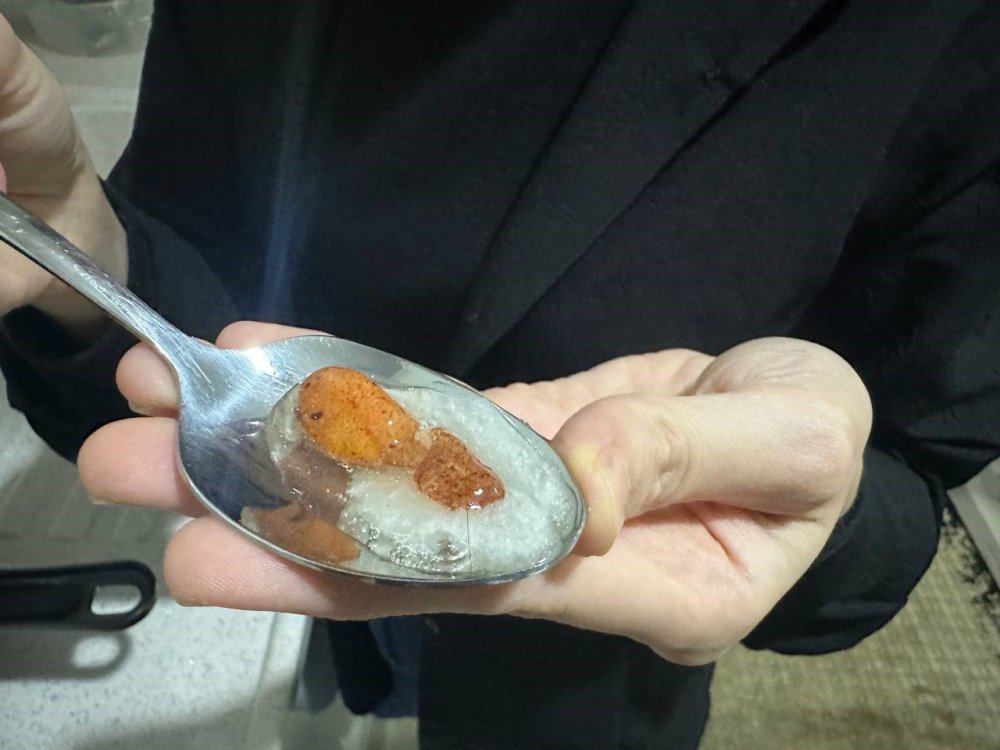 ORDU'NUN FATSA İLÇESİNDE MARKETTEN YUMURTA ALAN BİR ÖZLEM ÇAKIR, İÇERİSİNDEN CİVCİV EMBRİYOSU ÇIKTIĞINI GÖRÜNCE ŞOKE OLDU
