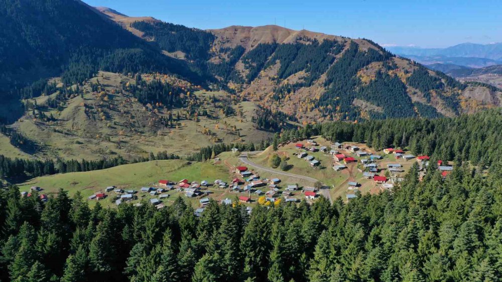 ARTVİN ORMAN BÖLGE MÜDÜRLÜĞÜ TARAFINDAN CUMHURİYETİN 100. YILI KUTLAMA ETKİNLİKLERİ KAPSAMINDA FOTO-JEEP SAFARİ ETKİNLİĞİ DÜZENLENDİ