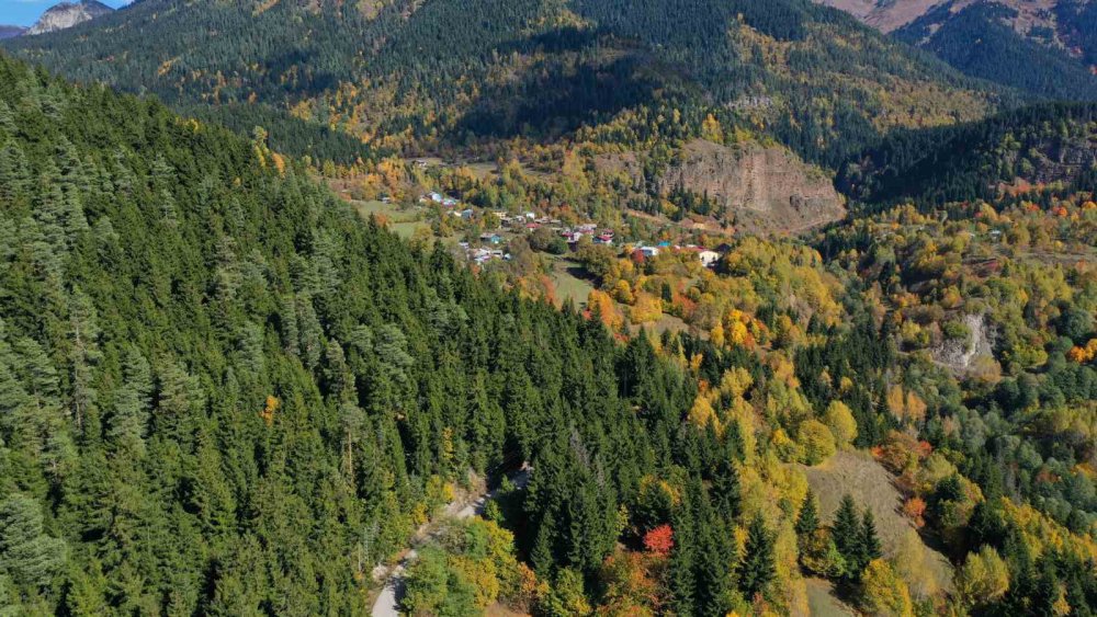 ARTVİN ORMAN BÖLGE MÜDÜRLÜĞÜ TARAFINDAN CUMHURİYETİN 100. YILI KUTLAMA ETKİNLİKLERİ KAPSAMINDA FOTO-JEEP SAFARİ ETKİNLİĞİ DÜZENLENDİ