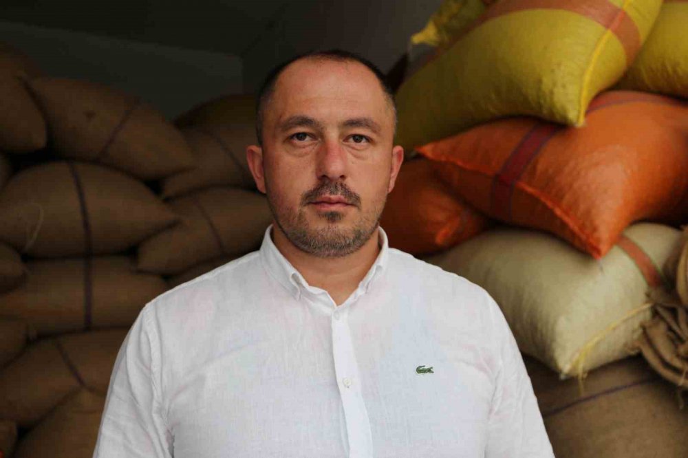 GİRESUN'DA GÜNDEMDEKİ YERİNİ KORUYAN FINDIK FİYATLARI, SERBEST PİYASADA 102 LİRA SEVİYELERİNİ GÖRDÜKTEN SONRA 2 LİRALIK DÜŞÜŞLE BUGÜN İTİBARİYLE 100 LİRA SEVİYELERİNDE SEYREDİYOR