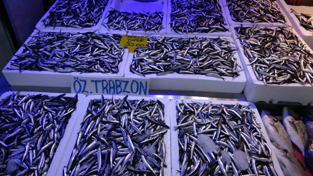 SEZON BAŞINDA GENELLİKLE BATI KARADENİZ'DE AVLANAN HAMSİNİN BUGÜNLERDE TRABZON AÇIKLARINDA BOL MİKTARDA AVLANMASI BALIKÇININ YÜZÜNÜ GÜLDÜRÜRKEN, TRABZON BALIK HALİ'NDE BUGÜN İTİBARİYLE HAMSİNİN KİLOSU 50 TL'DEN SATILIYOR
