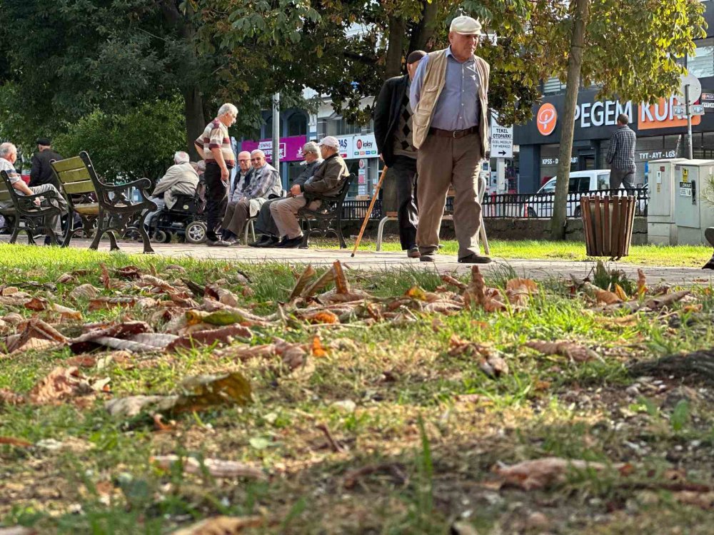 KARADENİZ'DE KASIM AYINDA HAVA SICAKLIKLARI MEVSİM NORMALLERİNİN ÜSTÜNDE SEYREDİYOR .TERMOMETRELERİN 28 DERECEYİ GÖSTERDİĞİ SAMSUN'DA PASTIRMA YAZI YAŞANIYOR