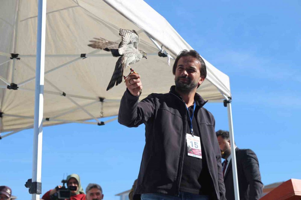 RİZE'NİN ARDEŞEN İLÇESİNDE DÜZENLENEN 4. ATMACA GÜZELLİK BECERİ VE DOĞAYA SALIM FESTİVALİ'NDE ATMACALAR,  TÜRKİYE'DEKİ ANAVATANI OLAN RİZE VE ARTVİN’Lİ YARIŞMACILAR BOY GÖSTERDİ