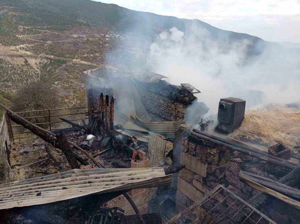 GÜMÜŞHANE'NİN TORUL İLÇESİNE BAĞLI BAHÇECİK MAHALLESİ'NİN TAMBURLU KÜME EVLERİ'NDE BİR AHIRDA SABAH SAATLERİNDE ÇIKAN YANGINDA 9 BÜYÜKBAŞ HAYVAN TELEF OLDU