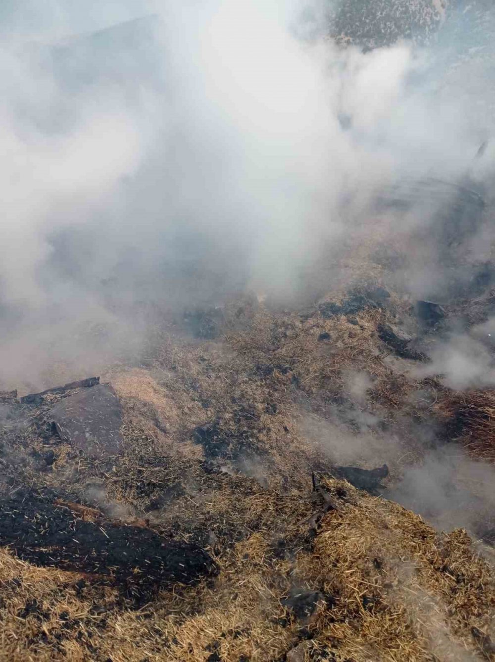 GÜMÜŞHANE'NİN TORUL İLÇESİNE BAĞLI BAHÇECİK MAHALLESİ'NİN TAMBURLU KÜME EVLERİ'NDE BİR AHIRDA SABAH SAATLERİNDE ÇIKAN YANGINDA 9 BÜYÜKBAŞ HAYVAN TELEF OLDU