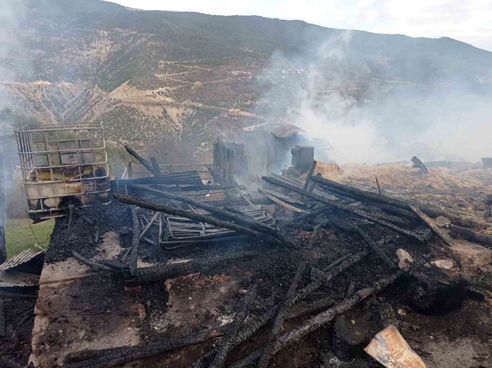 GÜMÜŞHANE'NİN TORUL İLÇESİNE BAĞLI BAHÇECİK MAHALLESİ'NİN TAMBURLU KÜME EVLERİ'NDE BİR AHIRDA SABAH SAATLERİNDE ÇIKAN YANGINDA 9 BÜYÜKBAŞ HAYVAN TELEF OLDU