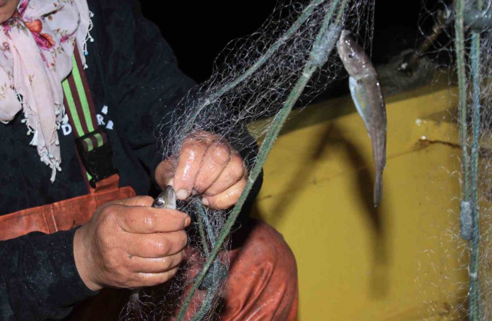 ORDU'DA BULUNAN KADIN BALIKÇILAR, EŞLERİNE YARDIM ETMEK İÇİN SABAH OLMADAN KIYIDAKİ YERLERİNİ ALIYOR. BALIKÇILIĞIN, ANNEDEN KIZA GEÇTİĞİ OKÇU MAHALLESİ'NDE KADINLAR KARADENİZ'İN HIRÇIN SULARINDA BALIK AVLIYOR, İSTİF YAPIYOR
