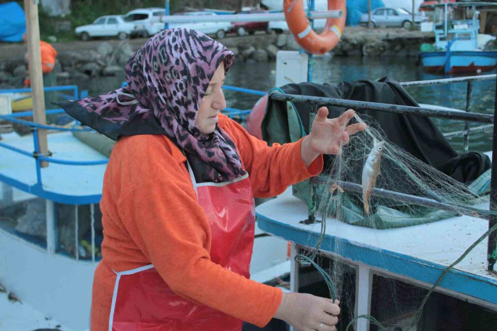 ORDU'DA BULUNAN KADIN BALIKÇILAR, EŞLERİNE YARDIM ETMEK İÇİN SABAH OLMADAN KIYIDAKİ YERLERİNİ ALIYOR. BALIKÇILIĞIN, ANNEDEN KIZA GEÇTİĞİ OKÇU MAHALLESİ'NDE KADINLAR KARADENİZ'İN HIRÇIN SULARINDA BALIK AVLIYOR, İSTİF YAPIYOR