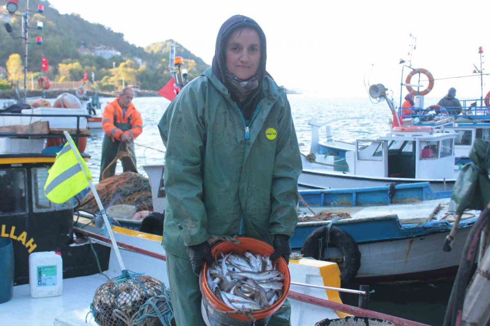 ORDU'DA BULUNAN KADIN BALIKÇILAR, EŞLERİNE YARDIM ETMEK İÇİN SABAH OLMADAN KIYIDAKİ YERLERİNİ ALIYOR. BALIKÇILIĞIN, ANNEDEN KIZA GEÇTİĞİ OKÇU MAHALLESİ'NDE KADINLAR KARADENİZ'İN HIRÇIN SULARINDA BALIK AVLIYOR, İSTİF YAPIYOR