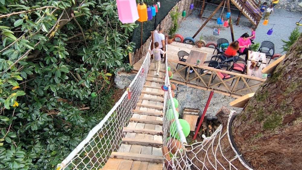 ARTVİN'İN ARHAVİ’DE YAŞAYAN 43 YAŞINDAKİ SELAHATTİN ALKAN HAYALİNİ KURDUĞU RESTORANI İÇİN ARAZİSİNDE BULUNAN AĞAÇLARI KESMEYE KIYAMAYINCA AĞAÇLARIN ÜZERİNE BARAKA VE KAMELYA YAPARAK KÖPRÜ EŞLİĞİNDE RESTORANINA DAHİL ETTİ