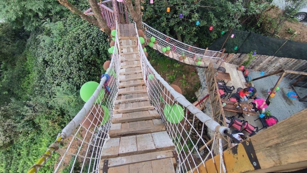 ARTVİN'İN ARHAVİ’DE YAŞAYAN 43 YAŞINDAKİ SELAHATTİN ALKAN HAYALİNİ KURDUĞU RESTORANI İÇİN ARAZİSİNDE BULUNAN AĞAÇLARI KESMEYE KIYAMAYINCA AĞAÇLARIN ÜZERİNE BARAKA VE KAMELYA YAPARAK KÖPRÜ EŞLİĞİNDE RESTORANINA DAHİL ETTİ