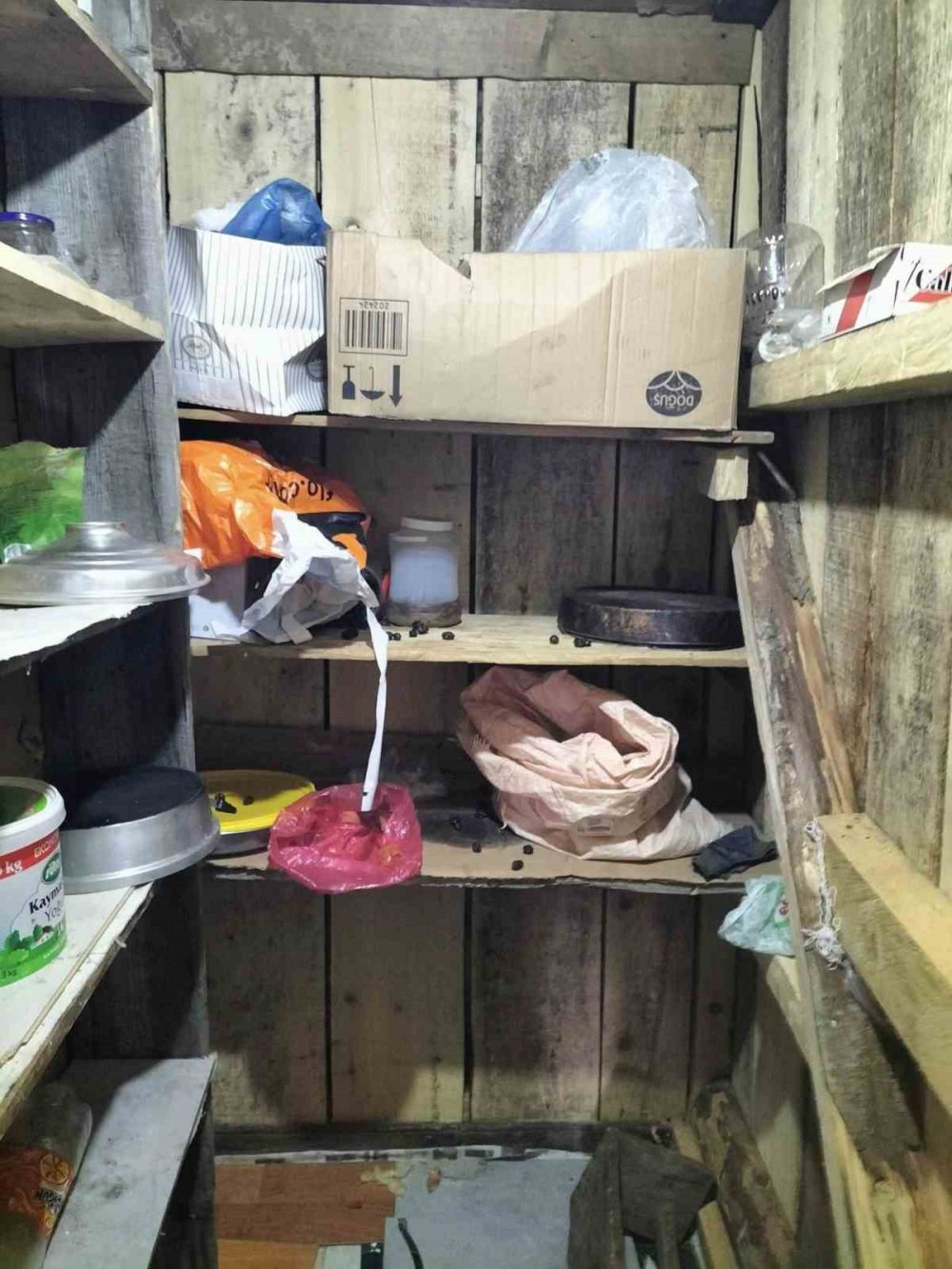 GİRESUN'DA AÇ KALAN AYILAR, YAVUZKEMAL BELDESİ'NE BAĞLI YUVA YAYLASI'NDAKİ EVLERE DADANDI. YİYECEK BULMAK İÇİN YAYLA EVLERİNE GİREN AYILAR, KAPILARI KIRDI, EŞYALARA ZARAR VERDİ