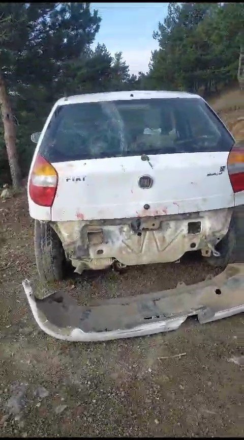 GÜMÜŞHANE'NİN TORUL İLÇESİNE BAĞLI YÜCEBELEN KÖYÜNDE AÇ AYI OTOMOBİLİN CAMINI KIRIP İÇİNE GİRİP HAYVAN YEMLERİNİ MİDEYE İNDİRDİ