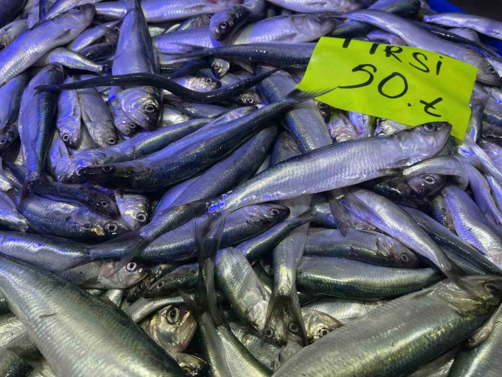 KARADENİZ'İN SOĞUMAYA BAŞLAMASI İLE BİRLİKTE RİZE'DE BALIK TEZGAHLARINDA PALAMUT GÖRÜNMEYE BAŞLADI. KİLOLUK PALAMUTUN FİYATI 150 TL – HAMSİ 35 TL’DEN SATILIYOR