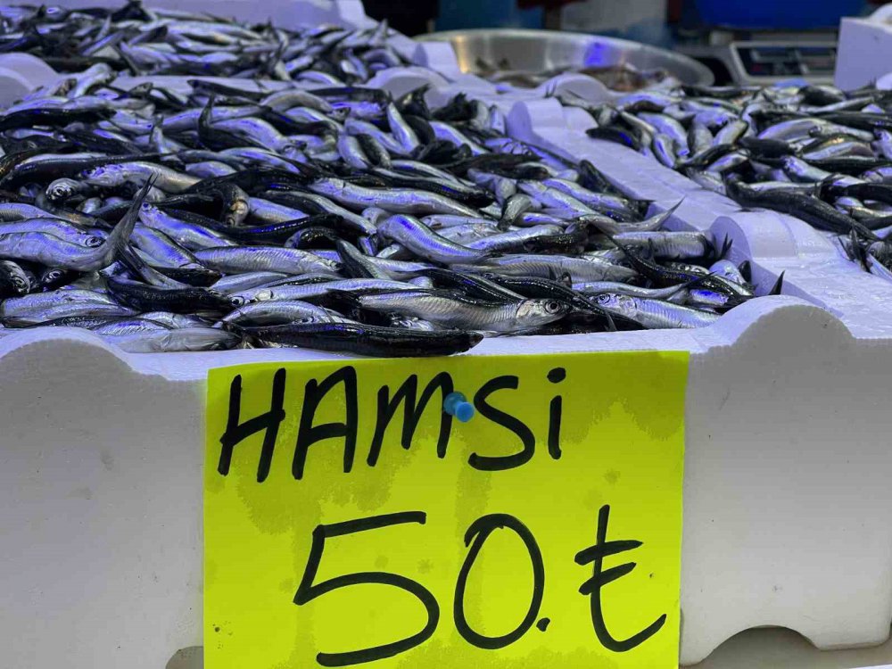 KARADENİZ'İN SOĞUMAYA BAŞLAMASI İLE BİRLİKTE RİZE'DE BALIK TEZGAHLARINDA PALAMUT GÖRÜNMEYE BAŞLADI. KİLOLUK PALAMUTUN FİYATI 150 TL – HAMSİ 35 TL’DEN SATILIYOR