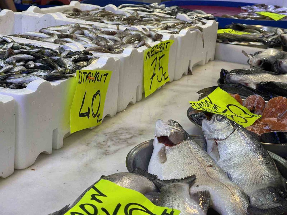 KARADENİZ'İN SOĞUMAYA BAŞLAMASI İLE BİRLİKTE RİZE'DE BALIK TEZGAHLARINDA PALAMUT GÖRÜNMEYE BAŞLADI. KİLOLUK PALAMUTUN FİYATI 150 TL – HAMSİ 35 TL’DEN SATILIYOR