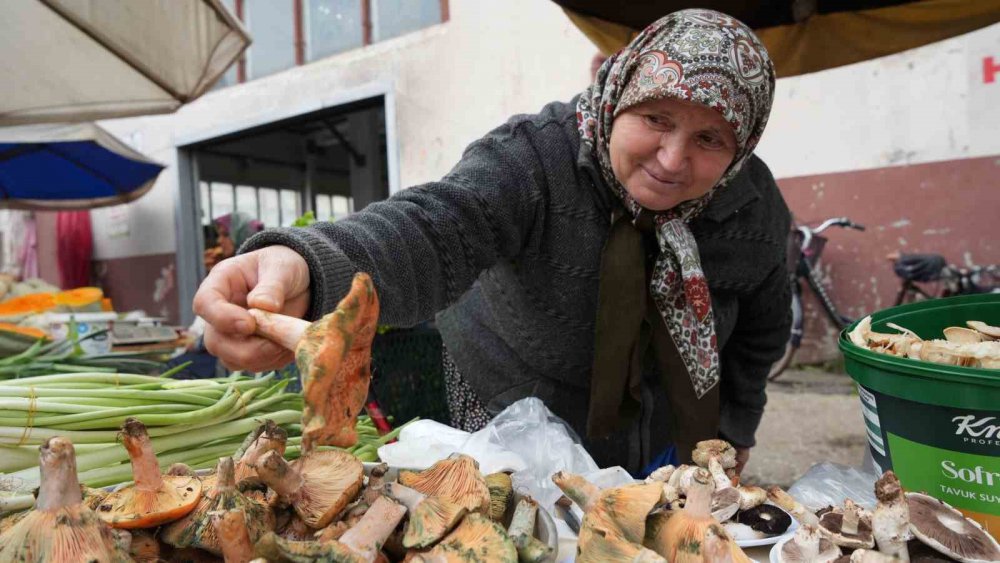 BOLU'DA 57 YAŞINDAKİ SABRİYE CİHAT, ORMANDAN TOPLADIĞI KANLICA MANTARLARINI PAZAR ALANINDA KİLOSUNU 150 LİRADAN SATARAK AİLE EKONOMİSİNE KATKI SUNUYOR
