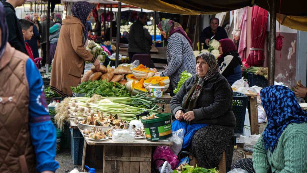 BOLU'DA 57 YAŞINDAKİ SABRİYE CİHAT, ORMANDAN TOPLADIĞI KANLICA MANTARLARINI PAZAR ALANINDA KİLOSUNU 150 LİRADAN SATARAK AİLE EKONOMİSİNE KATKI SUNUYOR