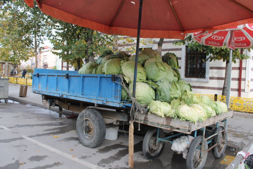 BAYBURT'TA KIŞ AYLARININ VAZGEÇİLMEZ LEZZETİ OLAN ORGANİK BAYBURT LAHANALARI TEZGAHLARDA YERİNİ ALDI