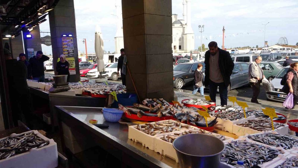 KARADENİZ'DE SON ZAMANLARDA BOL MİKTARDA AVLANAN HAMSİ, HEM BALIKÇILARIN HEM DE VATANDAŞLARIN YÜZÜNÜ GÜLDÜRÜYOR.HAMSİ SEZONU SÜRÜYOR, PALAMUT SEZONU İSE BİTTİ