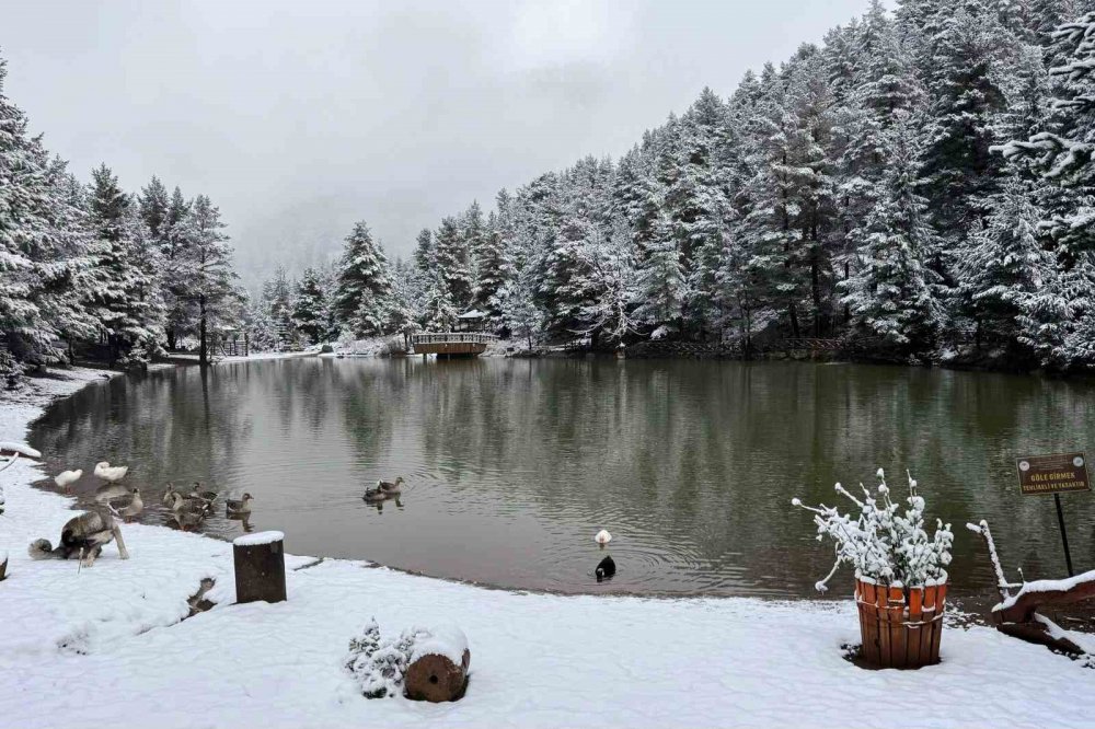 GÜMÜŞHANE'NİN TORUL İLÇESİNE BAĞLI ZİGANA KÖYÜNDEKİ DOĞA HARİKASI LİMNİ GÖLÜ TABİAT PARKI, YAĞAN KARLA BEYAZA BÜRÜNDÜ