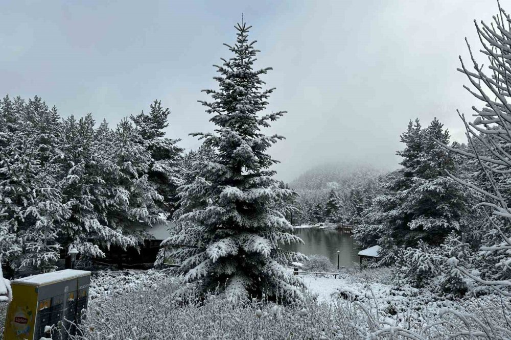 GÜMÜŞHANE'NİN TORUL İLÇESİNE BAĞLI ZİGANA KÖYÜNDEKİ DOĞA HARİKASI LİMNİ GÖLÜ TABİAT PARKI, YAĞAN KARLA BEYAZA BÜRÜNDÜ