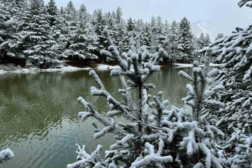 GÜMÜŞHANE'NİN TORUL İLÇESİNE BAĞLI ZİGANA KÖYÜNDEKİ DOĞA HARİKASI LİMNİ GÖLÜ TABİAT PARKI, YAĞAN KARLA BEYAZA BÜRÜNDÜ