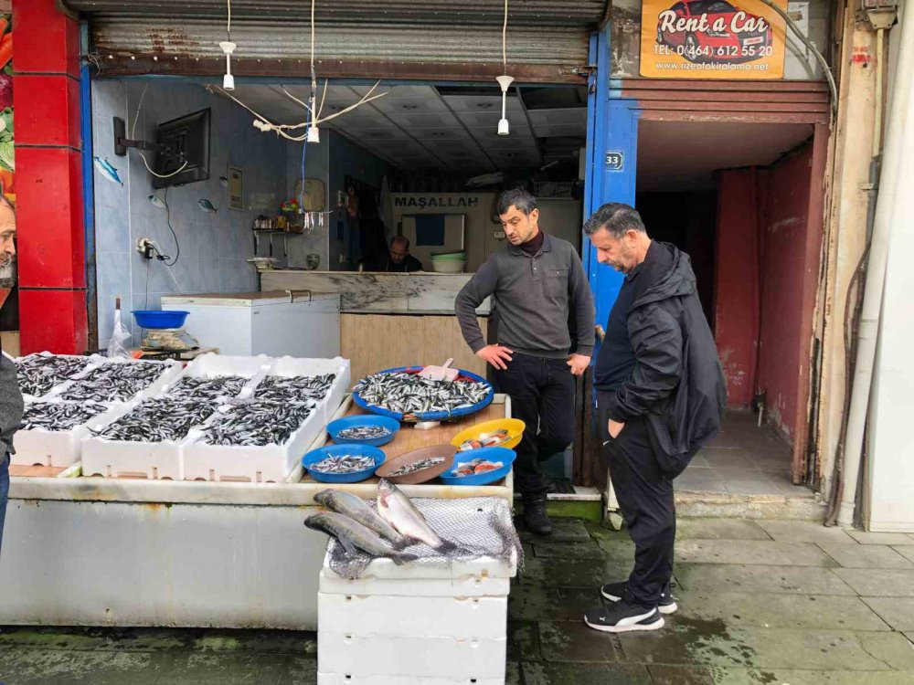 KARADENİZ'İN SOĞUMAYA BAŞLAMASI İLE BİRLİKTE RİZE AÇIKLARINDA HAMSİ BOLLUĞU SÜRERKEN, BU BOLLUK TEZGAHLARA DA YANSIYOR.HAMSİNİN KİLOSU 35 TL’DEN SATILIYOR