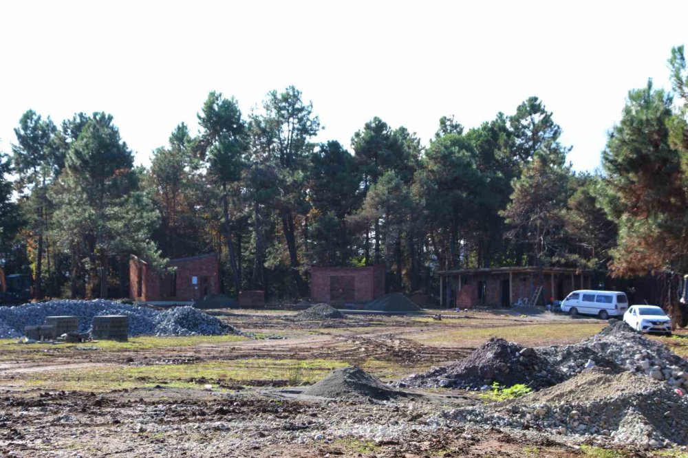 TRABZON'UN ARAKLI İLÇESİNDE ÇÖP DÖKÜM SAHASI OLARAK GÜNDEME GELEN VE TARTIŞMALARA YOL AÇAN TURUP BÖLGESİNDE TARIM VE ORMAN BAKANLIĞINCA MİLLET ORMANI YAPILIYOR