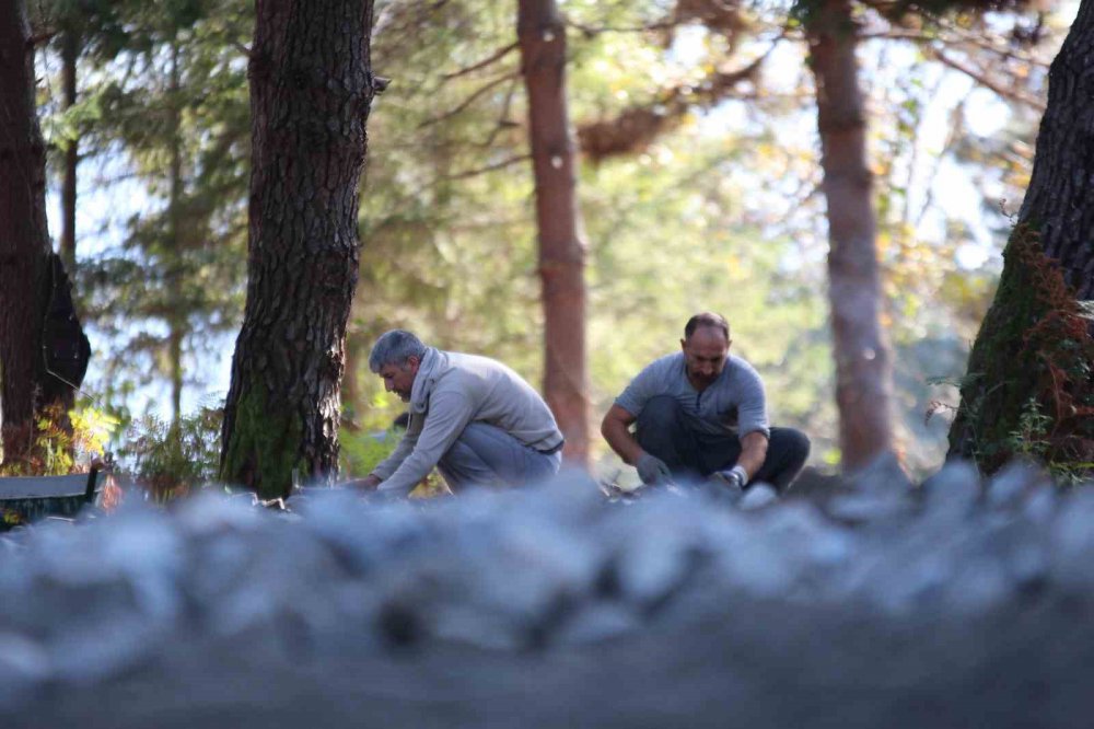 TRABZON'UN ARAKLI İLÇESİNDE ÇÖP DÖKÜM SAHASI OLARAK GÜNDEME GELEN VE TARTIŞMALARA YOL AÇAN TURUP BÖLGESİNDE TARIM VE ORMAN BAKANLIĞINCA MİLLET ORMANI YAPILIYOR