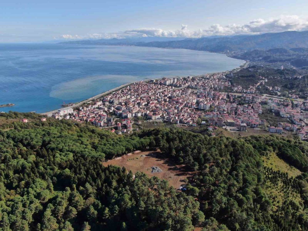 TRABZON'UN ARAKLI İLÇESİNDE ÇÖP DÖKÜM SAHASI OLARAK GÜNDEME GELEN VE TARTIŞMALARA YOL AÇAN TURUP BÖLGESİNDE TARIM VE ORMAN BAKANLIĞINCA MİLLET ORMANI YAPILIYOR