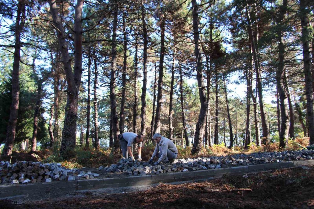 TRABZON'UN ARAKLI İLÇESİNDE ÇÖP DÖKÜM SAHASI OLARAK GÜNDEME GELEN VE TARTIŞMALARA YOL AÇAN TURUP BÖLGESİNDE TARIM VE ORMAN BAKANLIĞINCA MİLLET ORMANI YAPILIYOR