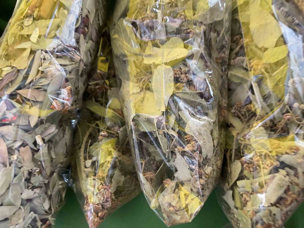 ATALARIMIZDAN KALMA BİR SOĞUK ALGINLIĞI İLACI OLAN , KIŞ VE SONBAHAR AYLARININ VAZGEÇİLMEZİ IHLAMUR , GEÇEN SENE IHLAMUR ÇİÇEĞİNİN KİLOGRAM FİYATI 600 TL İKEN BU YIL 800 TL'YE KADAR YÜKSELDİ