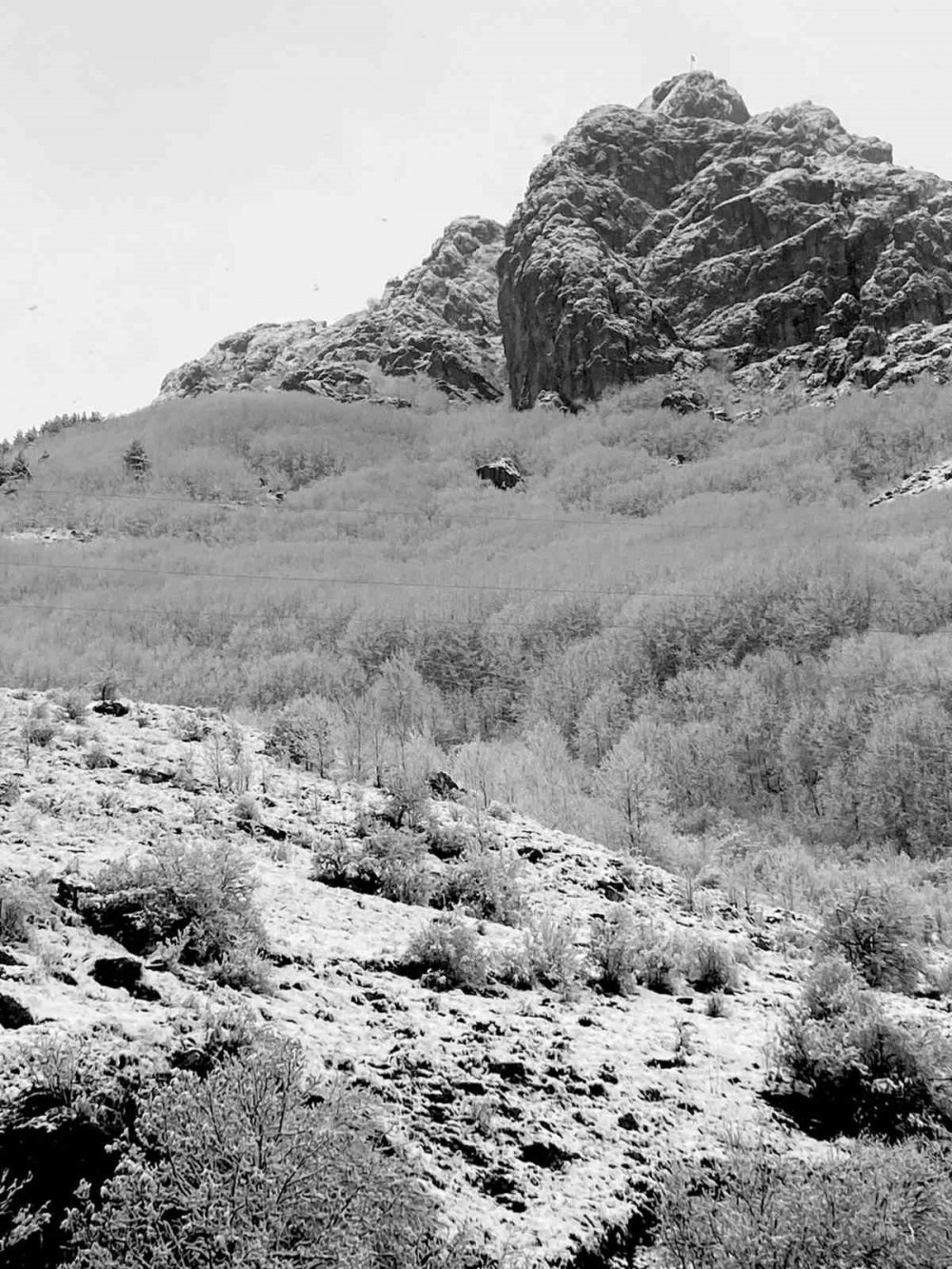 GÜMÜŞHANE'NİN YÜKSEK KESİMLERİNDE SON GÜNLERDE ETKİLİ OLAN KAR YAĞIŞI VE TİPİ ZAMAN ZAMAN SÜRÜCÜLERİN ZORLU ANLAR YAŞAMASINA NEDEN OLURKEN, ÇAM AĞAÇLARI ÜZERİNDEKİ MANZARALARI İSE GÖRENLERİ MEST EDİYOR