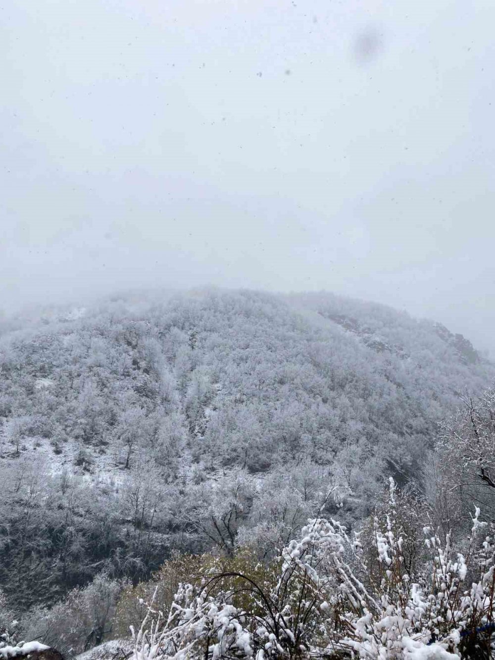 GÜMÜŞHANE'NİN YÜKSEK KESİMLERİNDE SON GÜNLERDE ETKİLİ OLAN KAR YAĞIŞI VE TİPİ ZAMAN ZAMAN SÜRÜCÜLERİN ZORLU ANLAR YAŞAMASINA NEDEN OLURKEN, ÇAM AĞAÇLARI ÜZERİNDEKİ MANZARALARI İSE GÖRENLERİ MEST EDİYOR