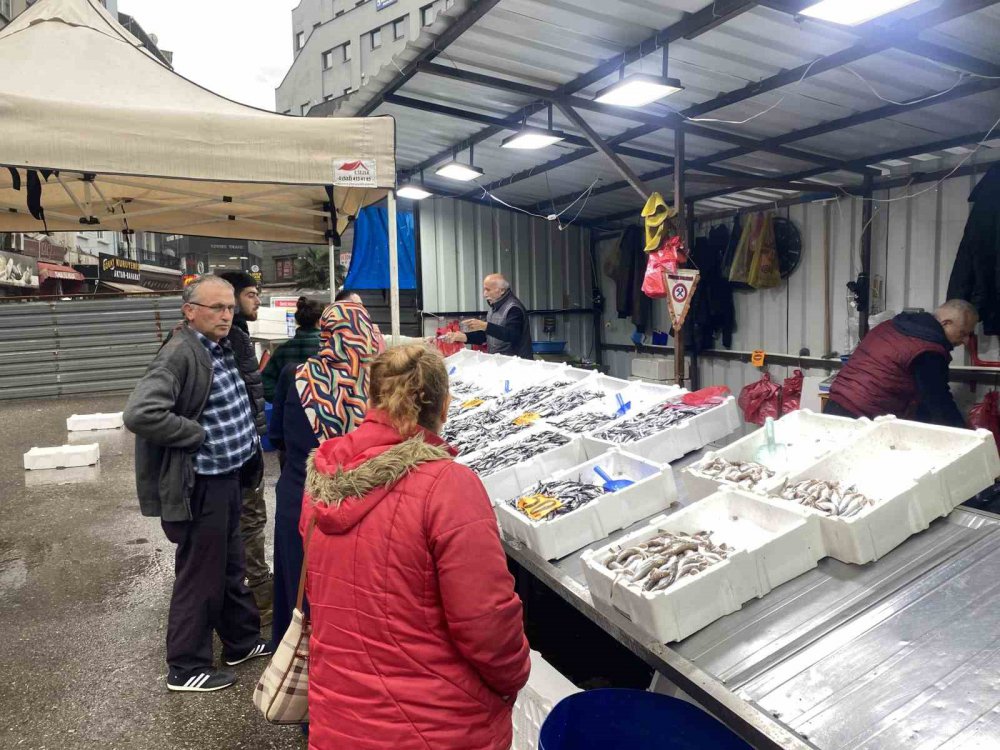 ZONGULDAK'TA HAVALARIN YENİDEN SOĞUMASIYLA YERLİ HAMSİ TEZGAHLARDA YERİNİ ALDI. HAMSİ TEZGAHLARDA 60 TL'DEN SATILDI. YERLİ HAMSİYİ GÖREN VATANDAŞLARDA TEZGAHLARA YOĞUN İLGİ GÖSTERDİ