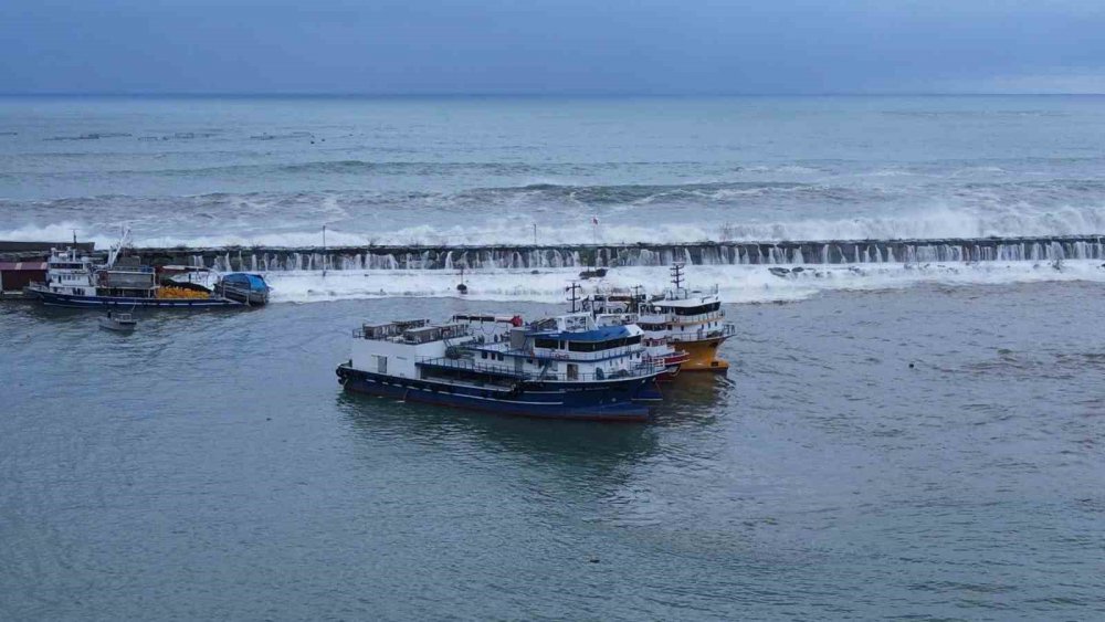 RİZE GÜNDOĞDU MAHALLESİ BALIKÇI BARINAKLARI'NDA BİRİ TIR OLMAK ÜZERE 3 ARAÇ DALGALARDAN HASAR GÖRDÜ, 1 KAMYONET DENİZE DÜŞTÜ