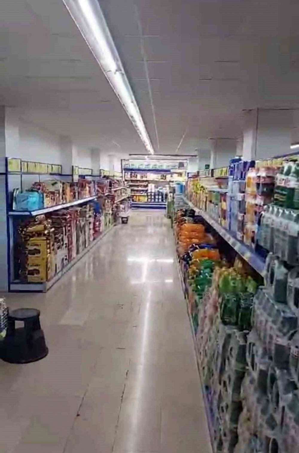 SAKARYA'NIN ADAPAZARI İLÇESİNDE MARKET ALIŞVERİŞİ YAPMAK İÇİN BİM'E GİREN BİR VATANDAŞ, GÖRDÜĞÜ MANZARA KARŞISINDA ŞOK OLDU. REYONDA FARE GÖREN VATANDAŞ, O ANLARI CEP TELEFONU İLE SANİYE SANİYE KAYDETTİ