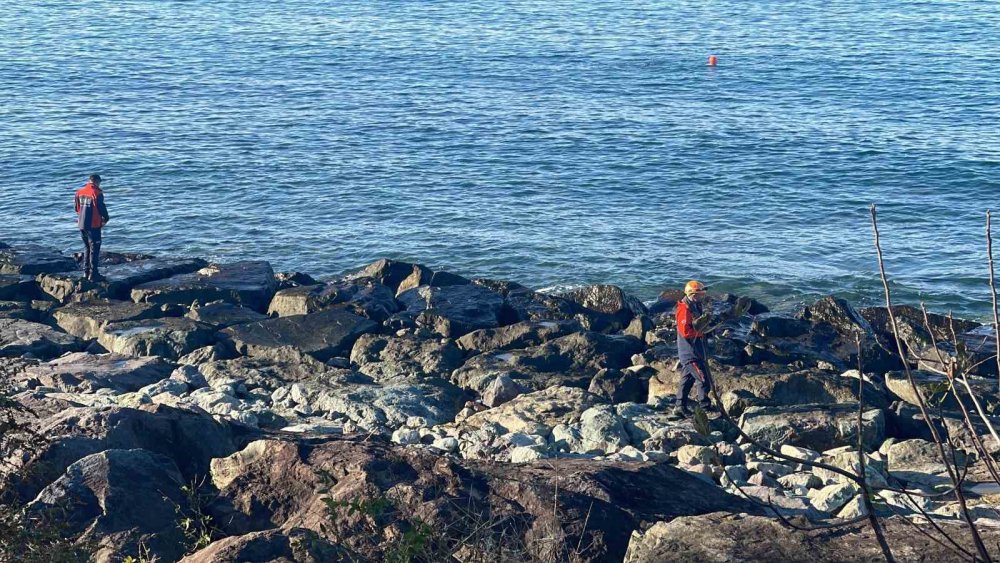 RİZE'NİN ARDEŞEN İLÇESİNDE 27 KASIM GÜNÜ YAŞANAN FIRTINADA SAHİLDE DALGALARIN GETİRDİĞİ ODUNLARI TOPLAMAK İSTEDİĞİ SIRADA DALGALAR ARASINDA KAYBOLAN KADINI ARAMA ÇALIŞMALARI 5. GÜNÜNDE DE SÜRÜYOR