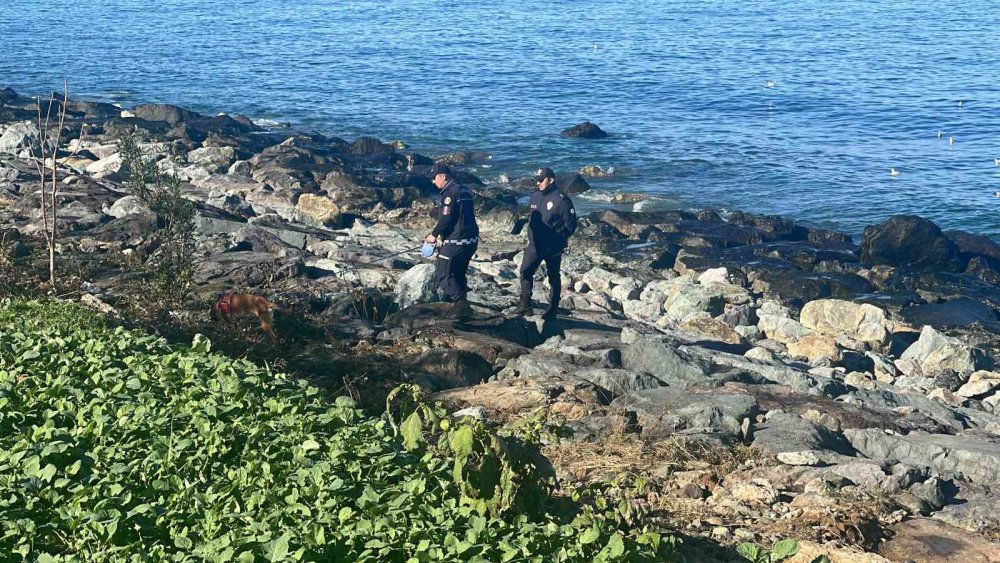 RİZE'NİN ARDEŞEN İLÇESİNDE 27 KASIM GÜNÜ YAŞANAN FIRTINADA SAHİLDE DALGALARIN GETİRDİĞİ ODUNLARI TOPLAMAK İSTEDİĞİ SIRADA DALGALAR ARASINDA KAYBOLAN KADINI ARAMA ÇALIŞMALARI 5. GÜNÜNDE DE SÜRÜYOR