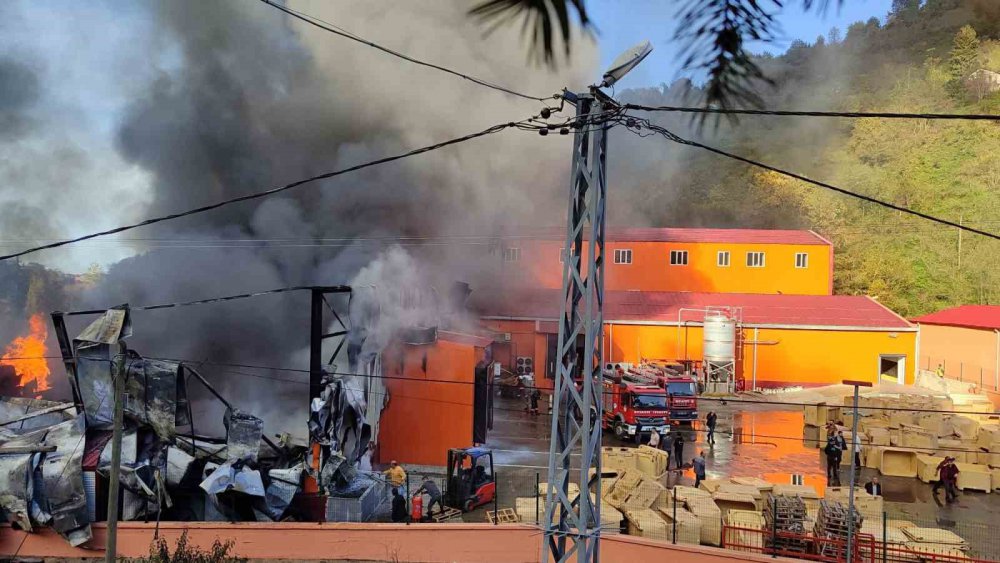 TRABZON'UN BEŞİKDÜZÜ İLÇESİ İLE GİRESUN'UN EYNESİL İLÇESİ ARASINDA YER ALAN BALIK FABRİKASINDA ÇIKAN YANGIN BÜYÜK PANİĞE NEDEN OLDU