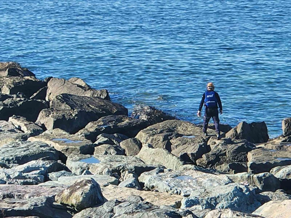 RİZE'NİN ARDEŞEN İLÇESİNDE 27 KASIM GÜNÜ SAHİLDE DALGALARIN GETİRDİĞİ ODUNLARI TOPLAMAK İSTEDİĞİ SIRADA DALGALAR ARASINDA KAYBOLAN KADINI ARAMA ÇALIŞMALARI 6. GÜNÜNDE DE DEVAM EDİYOR