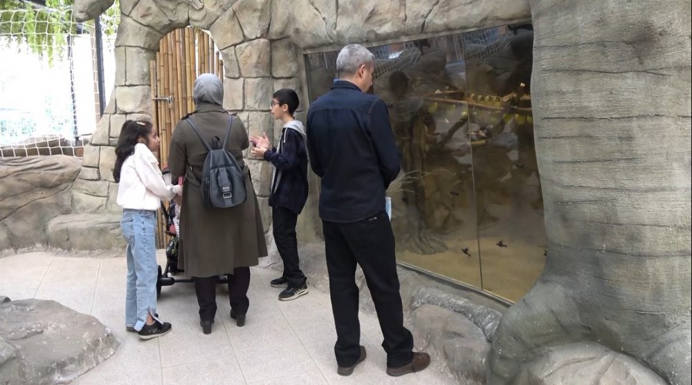 KARADENİZ BÖLGESİ'NDE İLK OLMA ÖZELLİĞİ TAŞIYAN VE AÇILDIĞI GÜNDEN BERİ ÇOK SAYIDA ZİYARETÇİYİ AĞIRLAYAN KUŞ PARKI PAPAĞANDAN, TAVUS KUŞUNA, ALTIN SÜLÜNDEN, İSPİNOZA KADAR 20 ÇEŞİT KUŞ TÜRÜNE EV SAHİPLİĞİ YAPIYOR