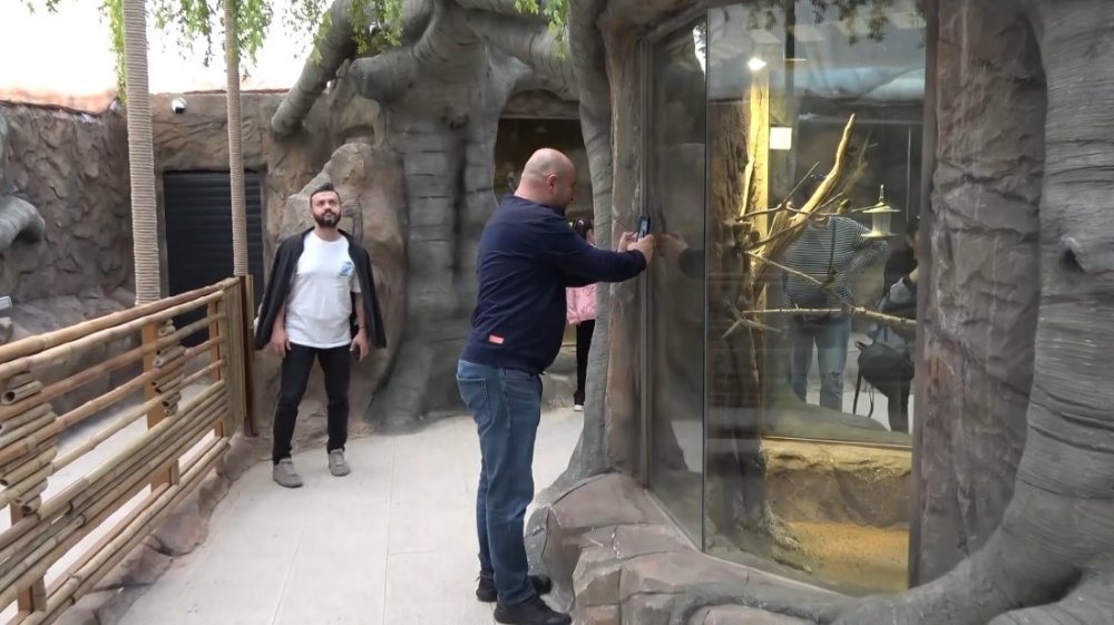 KARADENİZ BÖLGESİ'NDE İLK OLMA ÖZELLİĞİ TAŞIYAN VE AÇILDIĞI GÜNDEN BERİ ÇOK SAYIDA ZİYARETÇİYİ AĞIRLAYAN KUŞ PARKI PAPAĞANDAN, TAVUS KUŞUNA, ALTIN SÜLÜNDEN, İSPİNOZA KADAR 20 ÇEŞİT KUŞ TÜRÜNE EV SAHİPLİĞİ YAPIYOR