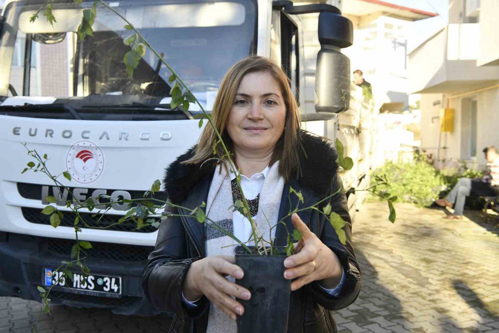 SAMSUN BÜYÜKŞEHİR BELEDİYESİ TARAFINDAN KAVAK İLÇESİNDE ÇİFTÇİLERE 2 BİN 350 ADET KUŞBURNU FİDANI VERİLDİ