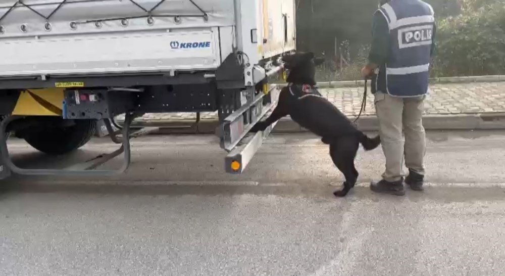 SAMSUN'DA NARKOTİK POLİSİ TARAFINDAN BİR TIRDA YAPILAN ARAMADA 3 KİLO 950 GRAM SKUNK ADLI UYUŞTURUCU ELE GEÇİRİLDİ